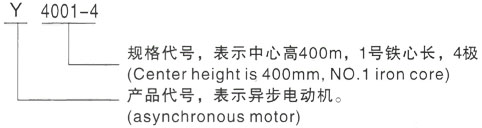 西安泰富西玛Y系列(H355-1000)高压YKK450-6A三相异步电机型号说明