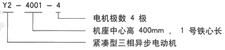 YR系列(H355-1000)高压YKK450-6A三相异步电机西安西玛电机型号说明